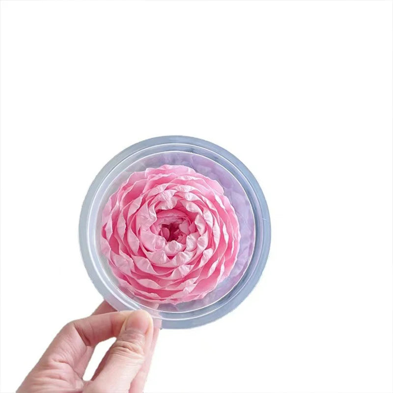 Tongcao Large Dried Peony Flower Home Decoration Preserved Artificial Red Flower Ball Arrangement Centerpieces Bunches
