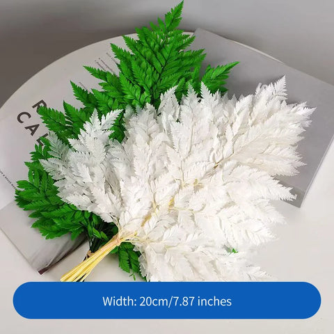 Genuine White Ferns Are Stably Preserved DIY Handicrafts Weddings Home Decorations Dried Flower Plants Mother's Day Graduation
