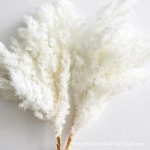 Wholesale DIY Preserved Pine Materials Cedar Preserved Flowers & Plants for Floral Ornaments Decoration Dried Flowers & Plants