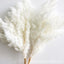Wholesale DIY Preserved Pine Materials Cedar Preserved Flowers & Plants for Floral Ornaments Decoration Dried Flowers & Plants