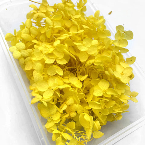 Handmade Preserved Flower Fan for Wedding DIY Wreath Mini Dried Flower Bouquet Artificial Hydrangea Dry Flowers Wall Backdrop