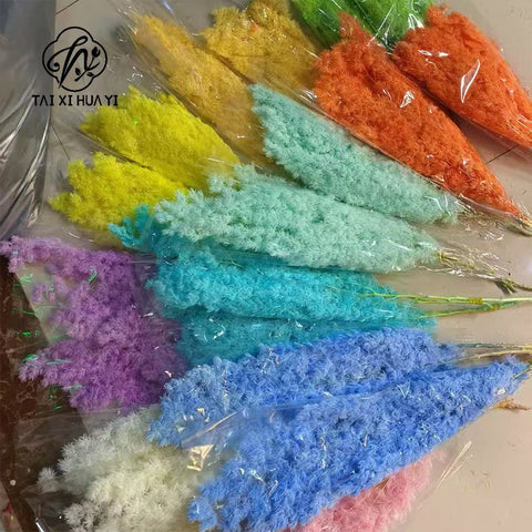 Wholesale DIY Preserved Pine Materials Cedar Preserved Flowers & Plants for Floral Ornaments Decoration Dried Flowers & Plants