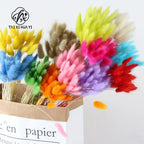 Halloween Decorative Flowers Rabbit Tail Grass & Immortal Flowers Dried Dog Tail Grass Shooting Props