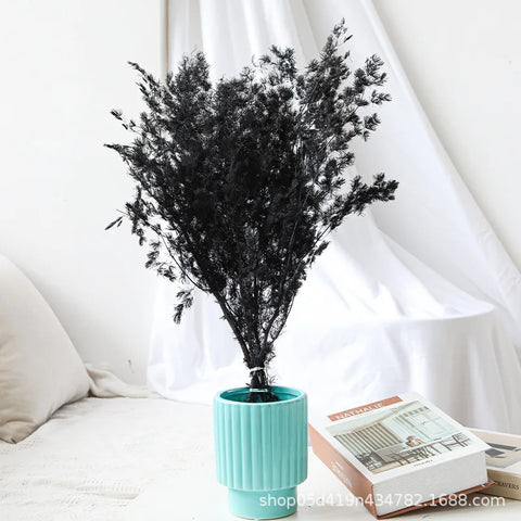 Wholesale DIY Preserved Pine Materials Cedar Preserved Flowers & Plants for Floral Ornaments Decoration Dried Flowers & Plants