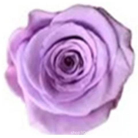 Forever Roses Preserved Flower Heads 6 Pieces DIY Gift Making Materials Wedding Centerpieces Flower Decorations Items