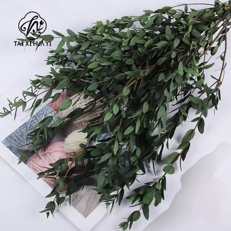 Fine-leaf Preserved Eucalyptus Leaf Dried Flower Bouquet Wreath DIY Material Wedding Decoration Main image