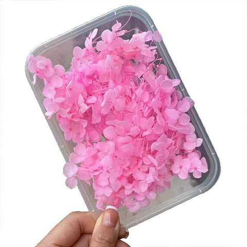 Handmade Preserved Flower Fan for Wedding DIY Wreath Mini Dried Flower Bouquet Artificial Hydrangea Dry Flowers Wall Backdrop