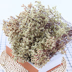 Preserved Crystal Grass Baby's Breath Dried Flowers for Home Arrangement & Wedding DIY Bouquet Baby Breath Flower Artificial