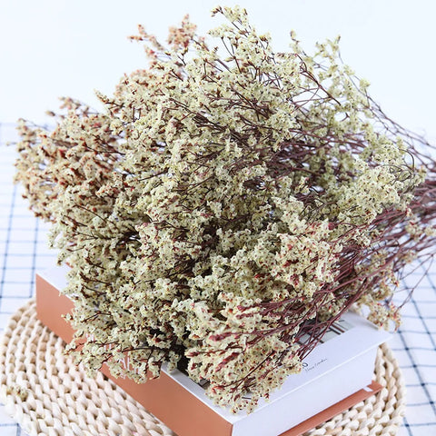 Preserved Crystal Grass Baby's Breath Dried Flowers for Home Arrangement & Wedding DIY Bouquet Baby Breath Flower Artificial