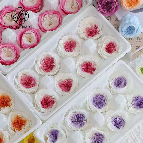 Grade Austin Rose Flower Head 4-5cm Preserved Real Flower 8-Pack Photography Props Wedding Mother's Day Christmas Gift Box