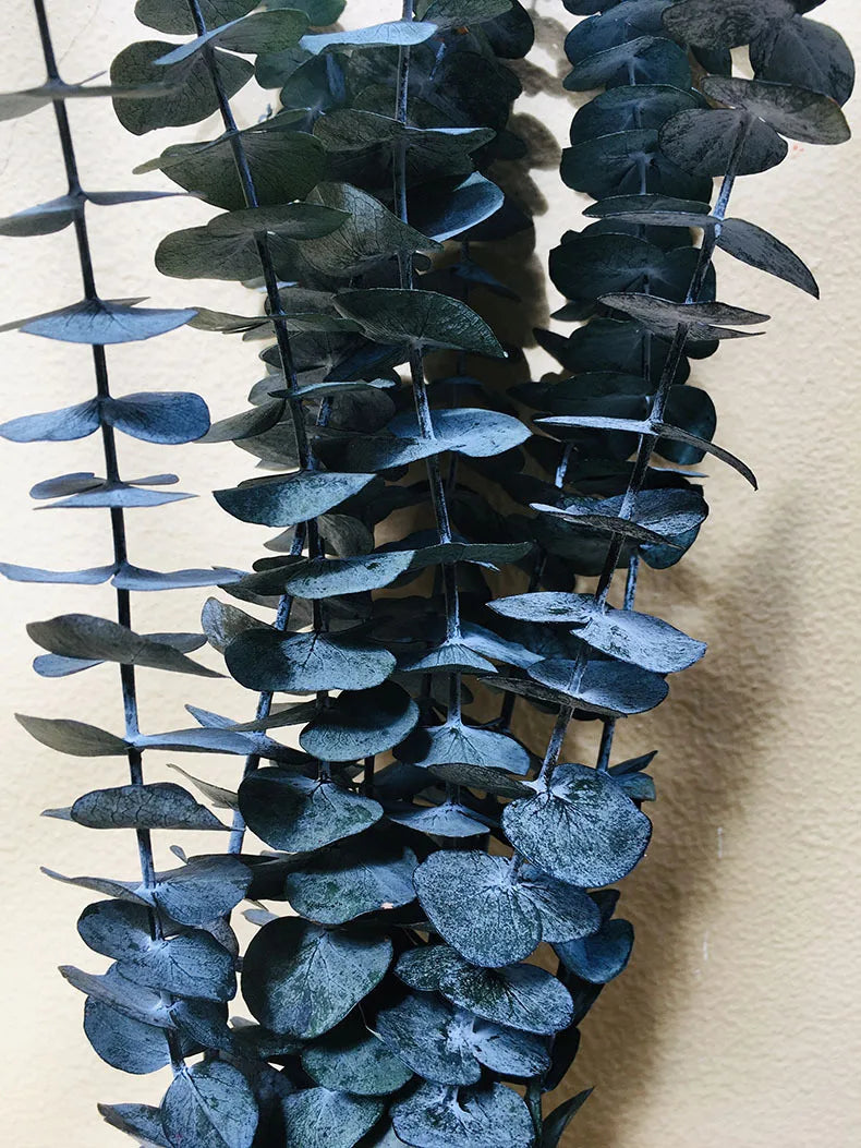A-grade Preserved Eucalyptus Leaf Dried Flowers Immortal Bouquet Decorative Copper Coin Leaves for Graduation Valentine's Day