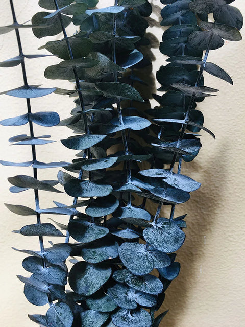 A-grade Preserved Eucalyptus Leaf Dried Flowers Immortal Bouquet Decorative Copper Coin Leaves for Graduation Valentine's Day