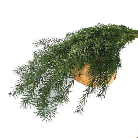 Wholesale Preserved Artificial Dried Flowers Garland 60cm for Graduation Wedding Christmas Halloween Valentine's Day Decorations