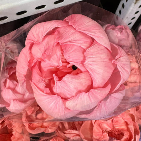 Tongcao Large Dried Peony Flower Home Decoration Preserved Artificial Red Flower Ball Arrangement Centerpieces Bunches