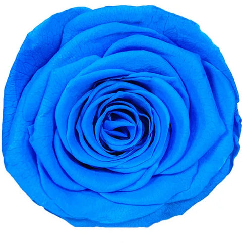 Forever Roses Preserved Flower Heads 6 Pieces DIY Gift Making Materials Wedding Centerpieces Flower Decorations Items