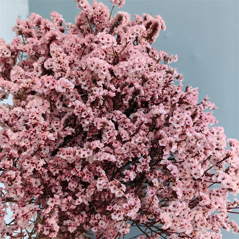 Preserved Crystal Grass Baby's Breath Dried Flowers for Home Arrangement & Wedding DIY Bouquet Baby Breath Flower Artificial