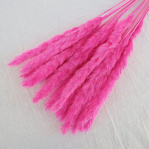 Reeds Dried Pampas Grass Artificial Flowers Bouquet Various Colors Home Boho Wedding Decoration Arrangement 3d White Flower Wall