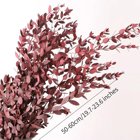 Fine-leaf Preserved Eucalyptus Leaf Dried Flower Bouquet Wreath DIY Material Wedding Decoration