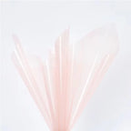 Transparent Color Clear Waterproof OPP Cellophane Paper for Flower & Gift Wrapping Florist Bouquet Supplies