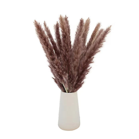 Reeds Dried Pampas Grass Artificial Flowers Bouquet Various Colors Home Boho Wedding Decoration Arrangement 3d White Flower Wall
