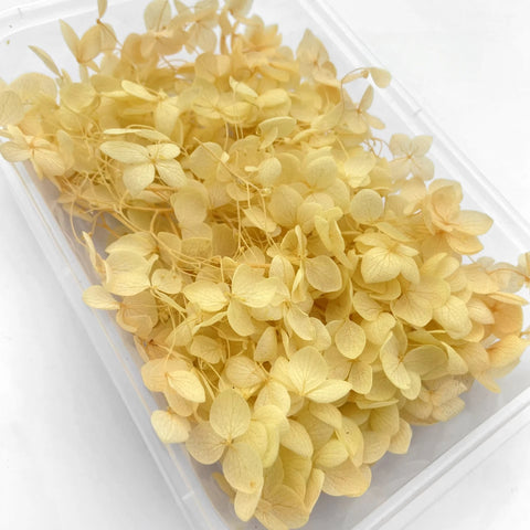Handmade Preserved Flower Fan for Wedding DIY Wreath Mini Dried Flower Bouquet Artificial Hydrangea Dry Flowers Wall Backdrop