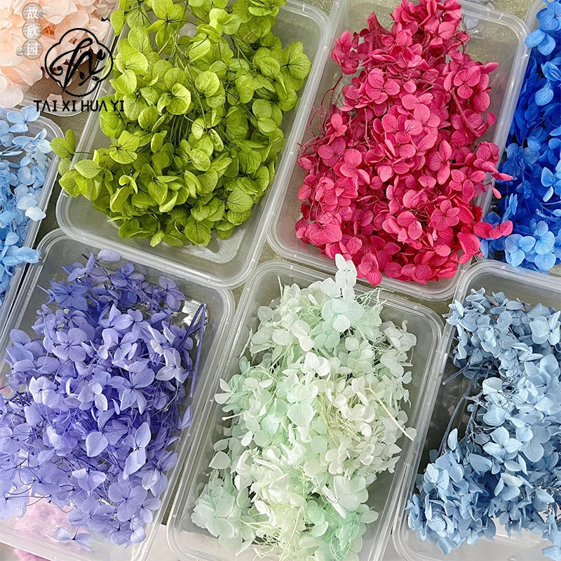 Handmade Preserved Flower Fan for Wedding DIY Wreath Mini Dried Flower Bouquet Artificial Hydrangea Dry Flowers Wall Backdrop