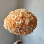 Anna Large Leaf Hydrangeas Preserved Bleached Color Single Bulk Dried Flowers & Plants Flower Wall Decor Father's Day