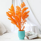 Wholesale DIY Preserved Pine Materials Cedar Preserved Flowers & Plants for Floral Ornaments Decoration Dried Flowers & Plants