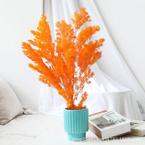 Wholesale DIY Preserved Pine Materials Cedar Preserved Flowers & Plants for Floral Ornaments Decoration Dried Flowers & Plants