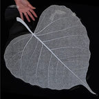 2025 New Flower Wrapping Stretch Film 72x33cm Leaf Shape Translucent Waterproof Florist Supplies