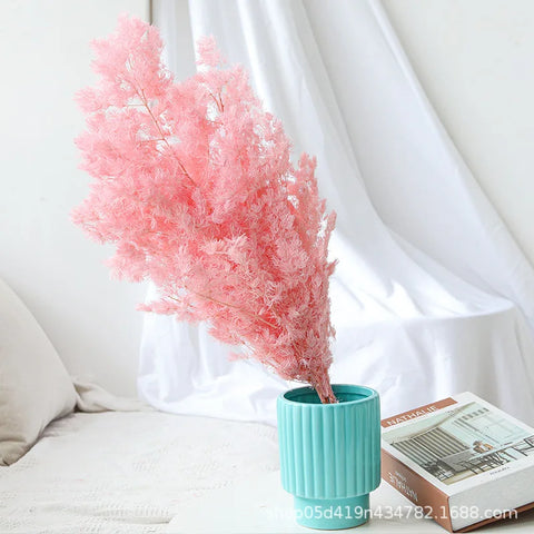 Wholesale DIY Preserved Pine Materials Cedar Preserved Flowers & Plants for Floral Ornaments Decoration Dried Flowers & Plants