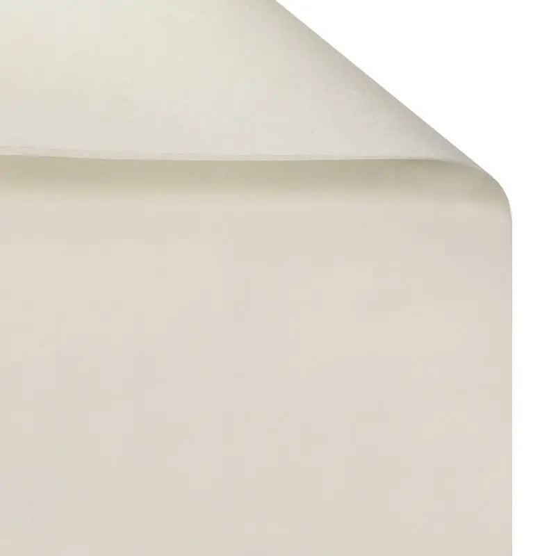 Single-Sided Coated PE Lining Paper Eco-Friendly & Water-proof for Clothing Packaging and Gift Wrapping Snow Pear Tissue