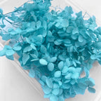 Handmade Preserved Flower Fan for Wedding DIY Wreath Mini Dried Flower Bouquet Artificial Hydrangea Dry Flowers Wall Backdrop
