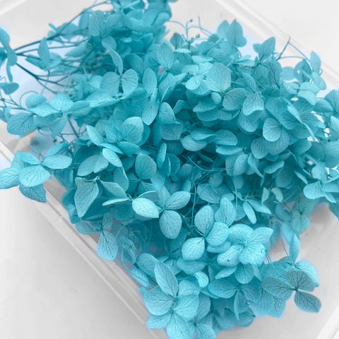 Handmade Preserved Flower Fan for Wedding DIY Wreath Mini Dried Flower Bouquet Artificial Hydrangea Dry Flowers Wall Backdrop