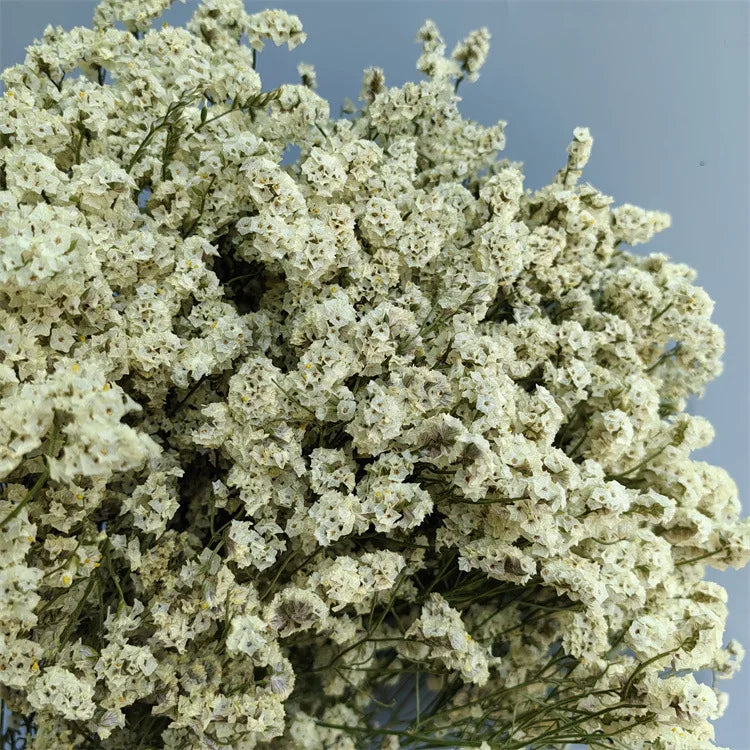 Preserved Crystal Grass Baby's Breath Dried Flowers for Home Arrangement & Wedding DIY Bouquet Baby Breath Flower Artificial