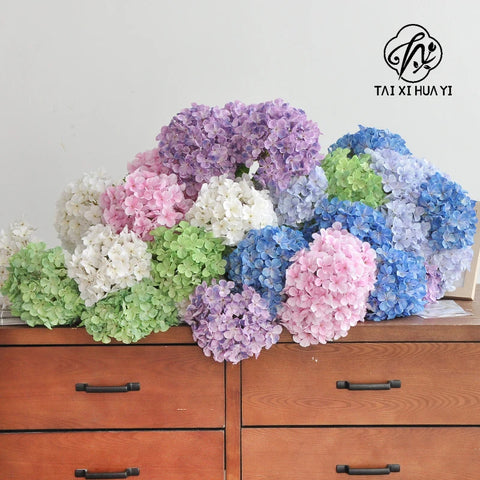 Anna Large Leaf Hydrangeas Preserved Bleached Color Single Bulk Dried Flowers & Plants Flower Wall Decor Father's Day