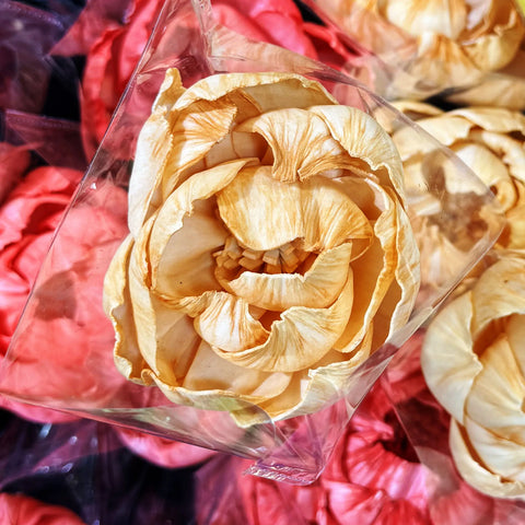 Tongcao Large Dried Peony Flower Home Decoration Preserved Artificial Red Flower Ball Arrangement Centerpieces Bunches