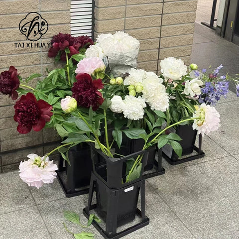 Plastic 6L Durable Drop Resistant Hydroponics Flower Arrangement Container Drainage Hole Long Pole Garden Home Use Wholesale