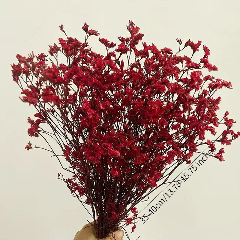 Preserved Crystal Grass Baby's Breath Dried Flowers for Home Arrangement & Wedding DIY Bouquet Baby Breath Flower Artificial
