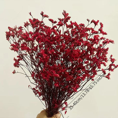 Preserved Crystal Grass Baby's Breath Dried Flowers for Home Arrangement & Wedding DIY Bouquet Baby Breath Flower Artificial