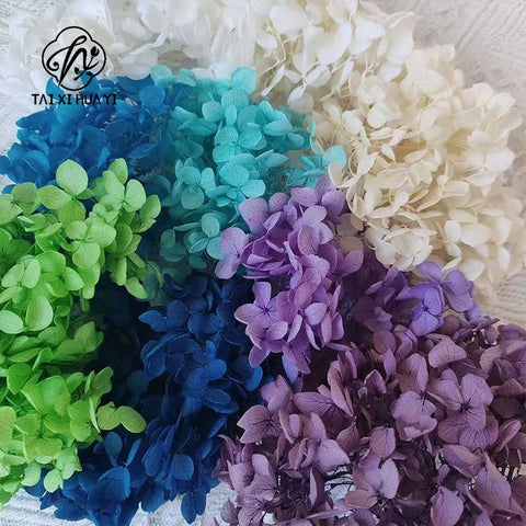 Handmade Preserved Flower Fan for Wedding DIY Wreath Mini Dried Flower Bouquet Artificial Hydrangea Dry Flowers Wall Backdrop