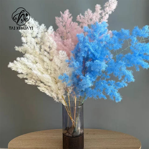 Wholesale DIY Preserved Pine Materials Cedar Preserved Flowers & Plants for Floral Ornaments Decoration Dried Flowers & Plants