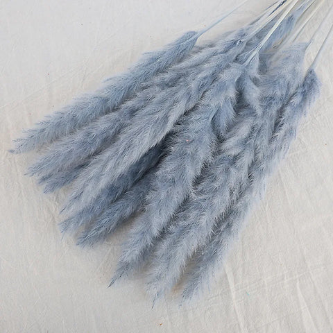 Reeds Dried Pampas Grass Artificial Flowers Bouquet Various Colors Home Boho Wedding Decoration Arrangement 3d White Flower Wall