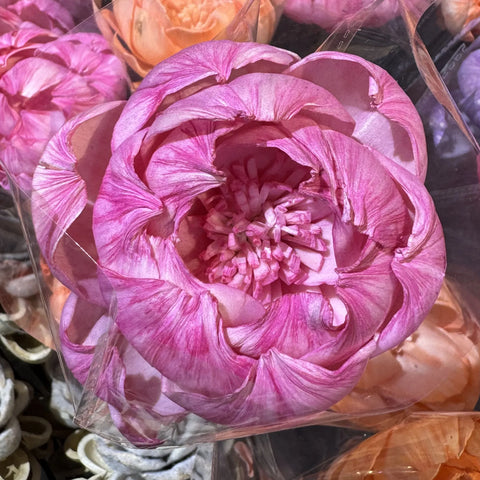 Tongcao Large Dried Peony Flower Home Decoration Preserved Artificial Red Flower Ball Arrangement Centerpieces Bunches