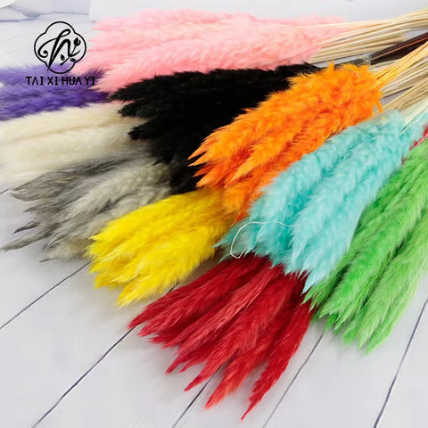 Reeds Dried Pampas Grass Artificial Flowers Bouquet Various Colors Home Boho Wedding Decoration Arrangement 3d White Flower Wall
