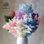 Wholesale DIY Preserved Pine Materials Cedar Preserved Flowers & Plants for Floral Ornaments Decoration Dried Flowers & Plants