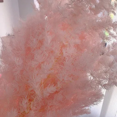 Wholesale DIY Preserved Pine Materials Cedar Preserved Flowers & Plants for Floral Ornaments Decoration Dried Flowers & Plants