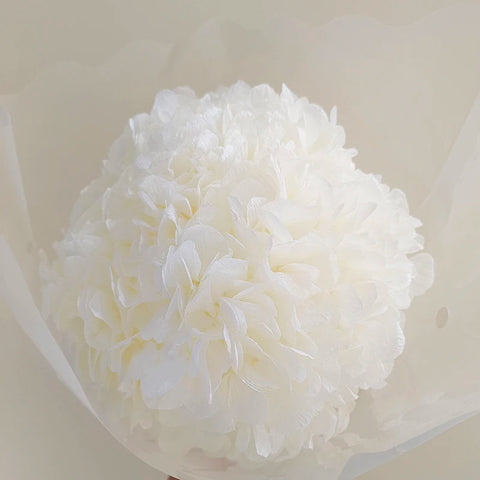 Anna Large Leaf Hydrangeas Preserved Bleached Color Single Bulk Dried Flowers & Plants Flower Wall Decor Father's Day