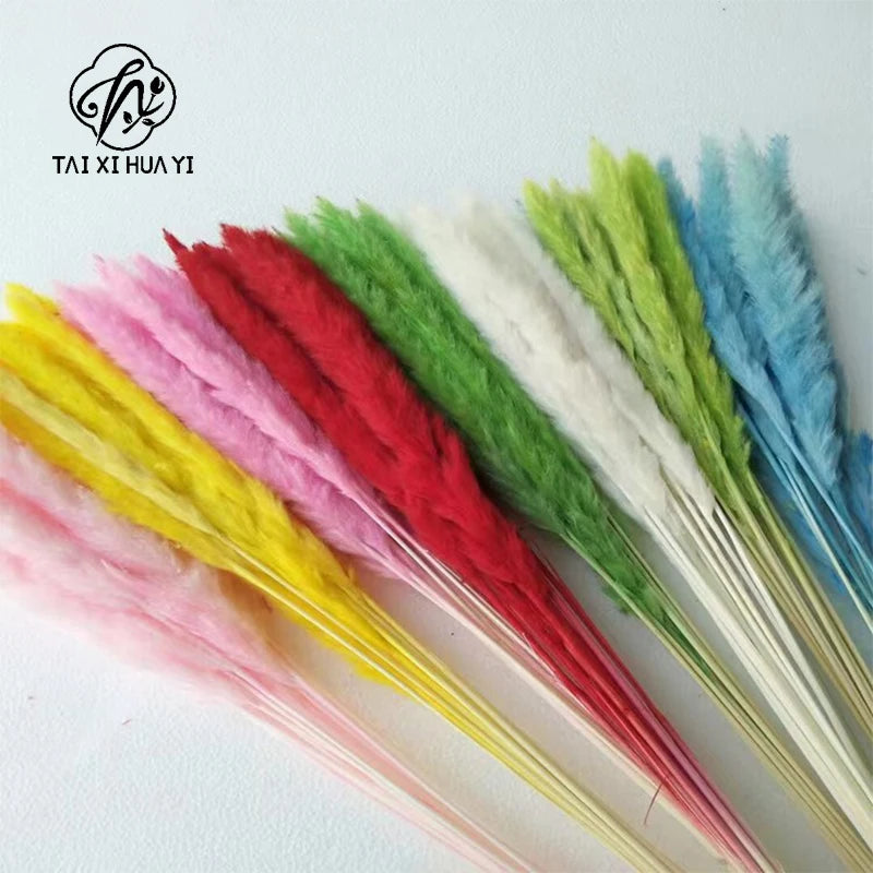 Reeds Dried Pampas Grass Artificial Flowers Bouquet Various Colors Home Boho Wedding Decoration Arrangement 3d White Flower Wall รูปสินค้าหลัก
