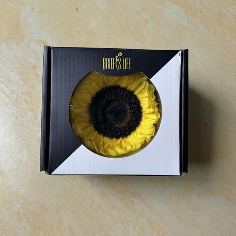 Eternal Sunflower Eternal Flower Sunflower Flower Head Material Keep Flower Sunflower Flower Head Spot Wholesale